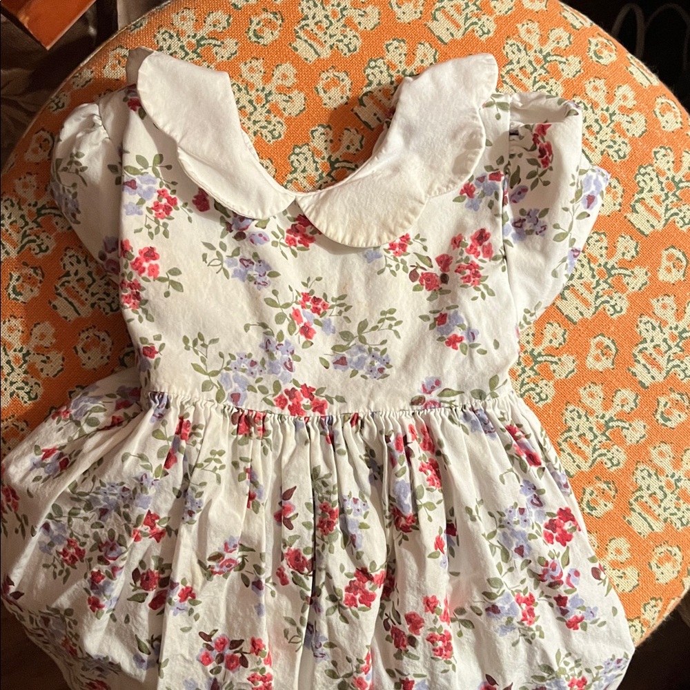 Edgehill Collection Floral Dress with White Collar
